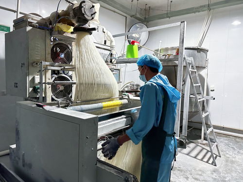 干凈米 讓文山米線味道更 醇厚