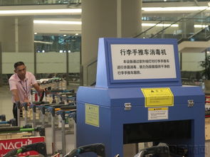 貫通愛心通道，虹橋機場迎接進博會 精品服務再升級
